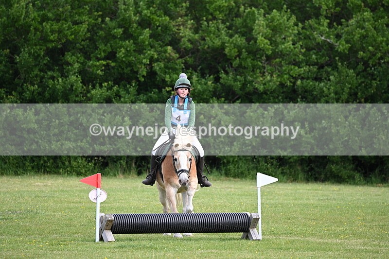 WJ6_2270 - Class 2 40cm