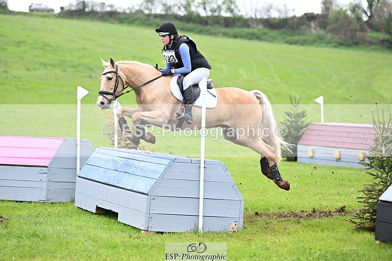 250419-125945-10478 - 523-Kate.Hicks-SWALLOWCROFT.STARDUST