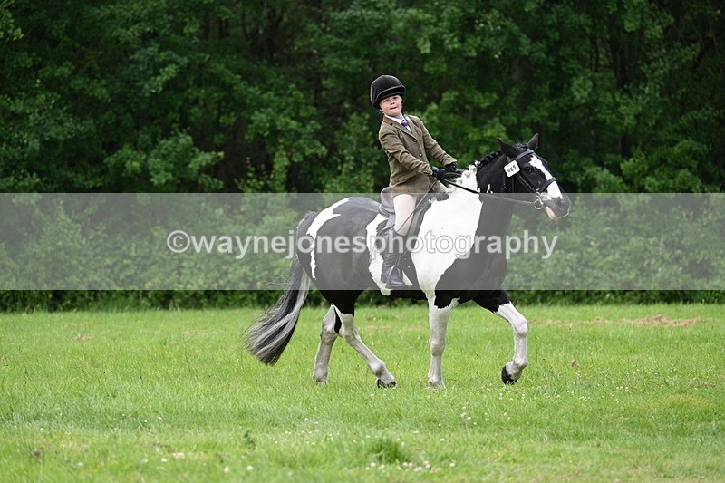 WJ7_2415 - Class 12A Coloured Class