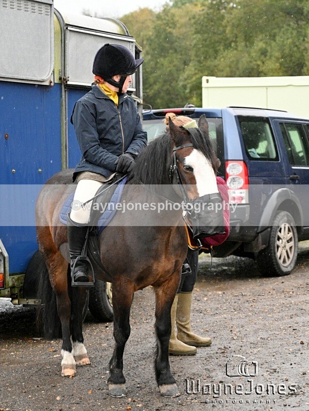 WJ7_7913 - Berks & Bucks Blackcroft Farm 20-10-24