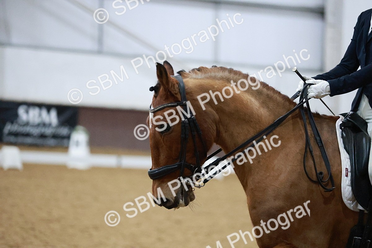 SBM_005653 - Medium Music-Medium 2-Adv Med 1