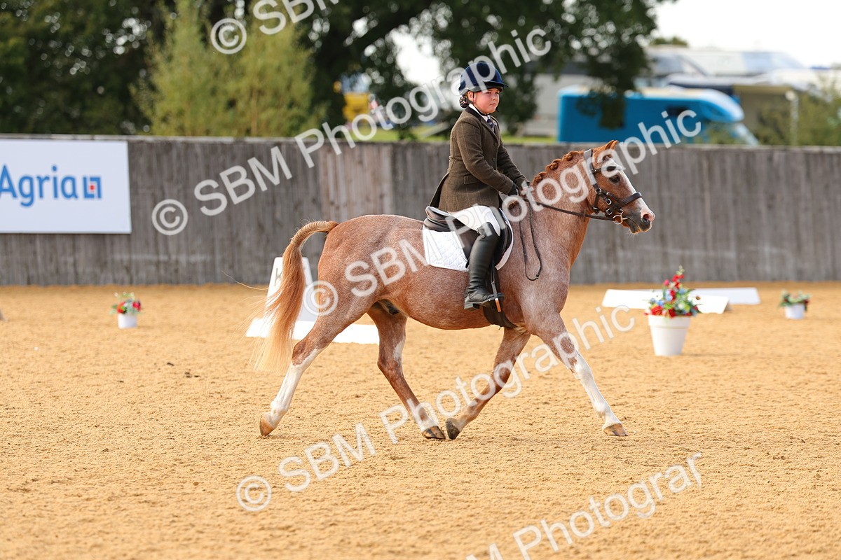 SBM_49746 - D24 - Junior Championship - Prelim 1