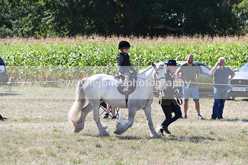 WJ6_7913 - Class 36 Lead Rein