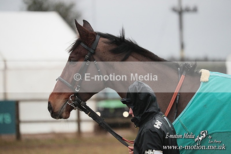 PtP 260125 962 - Cocklebarrow Point-to-Point racing with the Heythrop Hunt 26/01/25