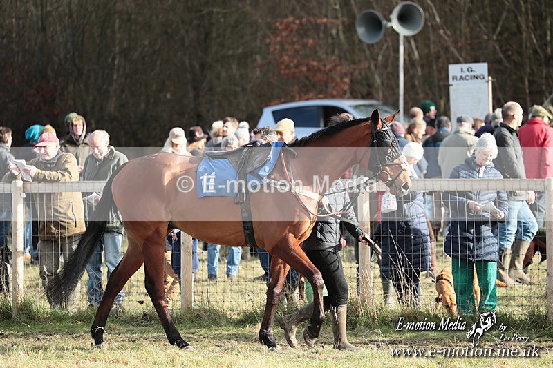 PtP 220225 923 - Kimblewick Point-to-Point  Kingston Blount 22/02/25