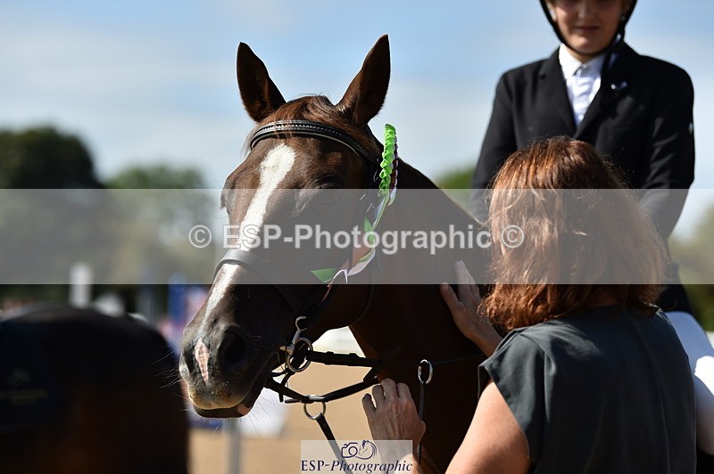 230903A-113858-04245 - Cls 18 Pony Brit Novice & 80cm Open