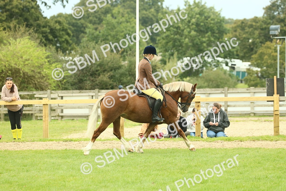 SBM_72055 - S60 - Mountain & Moorland Ridden Large Breeds