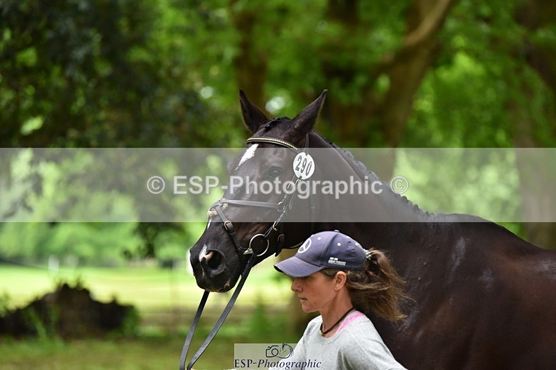 240522-172840-01636 - 290-MISTER_KAI-Hani_Milstein