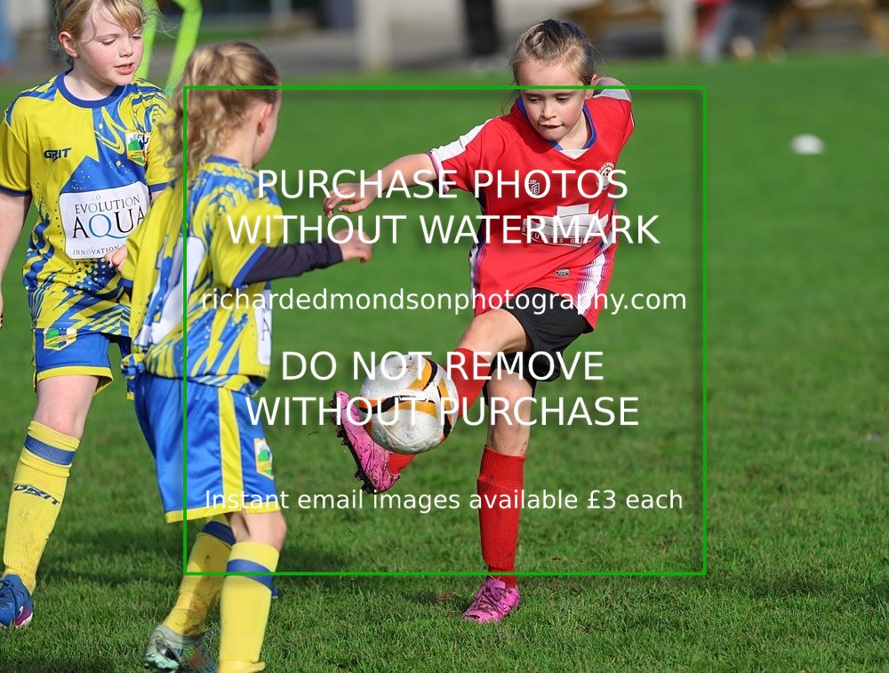 533A3631 - Halton Girls U9 (11/10/26)