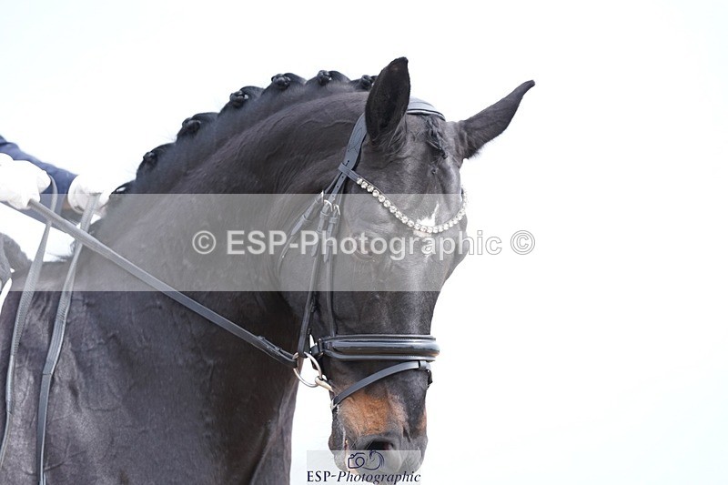 250403-141830-02906 - 021-Fiona.Brennan-De.Angelis.II