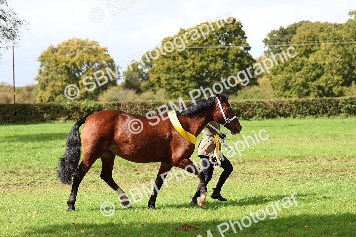 SBM_40805 - S25 -  Veteran In Hand