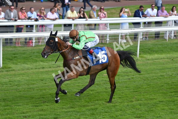 yr09072021r5-48 - Race 5: 4.20pm Garbutt + Elliott Stakes