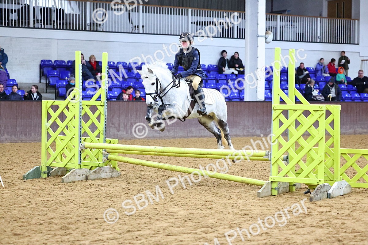 SBM_001394 - Class 3 - Christmas Tree Stakes - 60cm