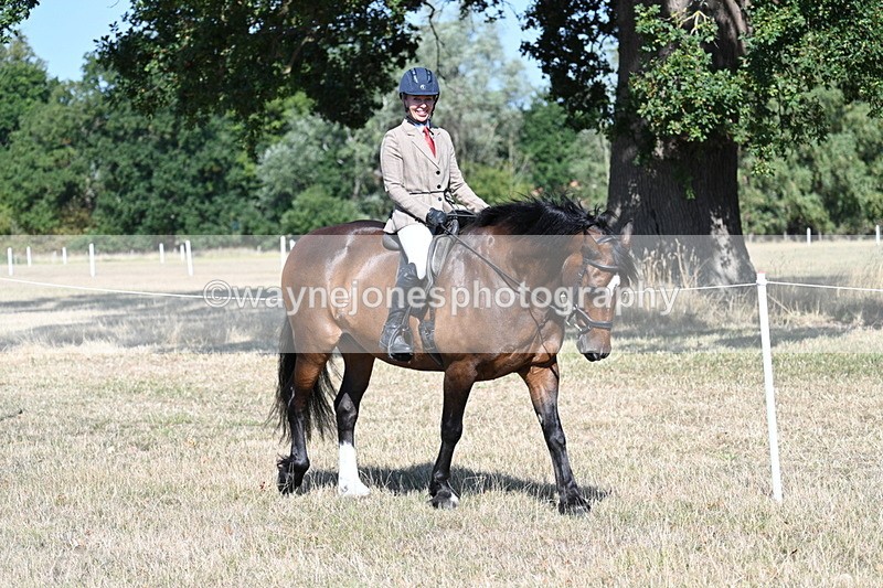 WJ7_3512 - Class 9 Mountain & Moorland Ridden