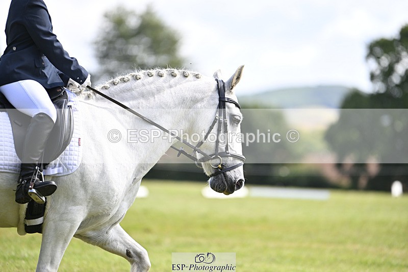 240824X-113510-25940 - D80 Section E and F 11.00 to 12.00