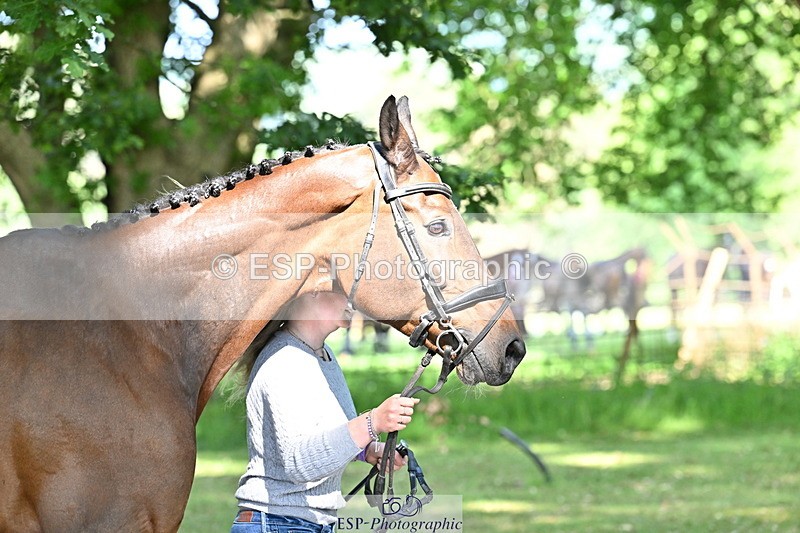 250521A-162851-01170 - C-225-Molly.Adams-QUINARA