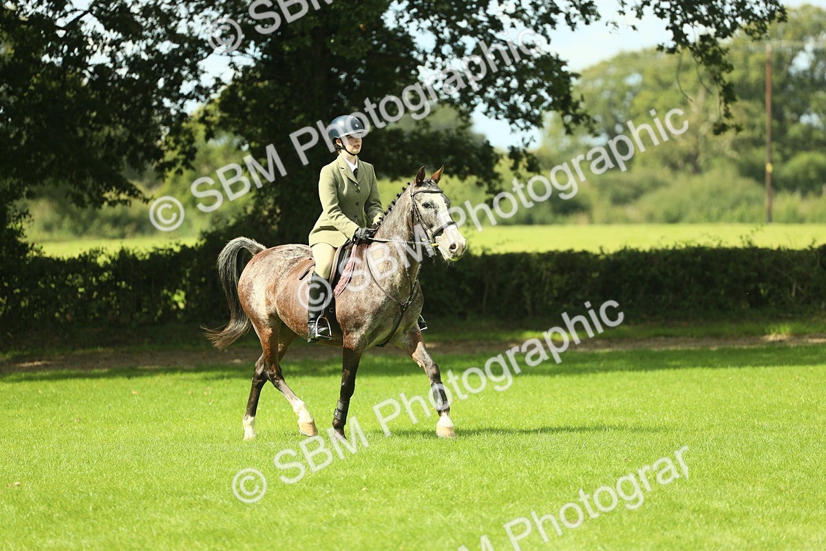 SBM_42124 - S29 - Novice & Newcomers Working Hunter Pony