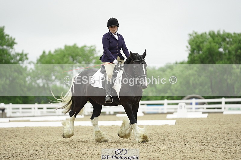 230708A-100328-00289 - Intro C