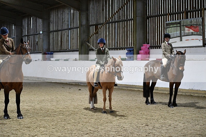 WJ5_8701 - Class 14 Novice Ridden/Rider