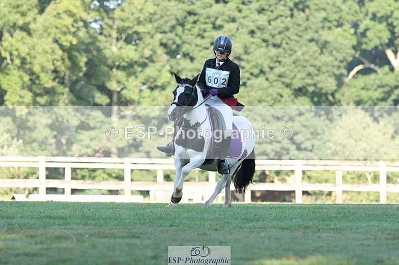 250823A-084116-25754 - Arena D