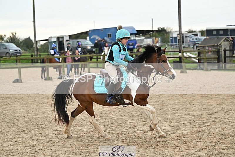 241110-140045-01005 - 60-65cm Arena Eventing