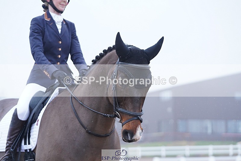 250215-103110-02810 - 143-Charlie.Cornish-Dali.Van.Het.Burghof.Z