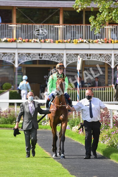 yr09072021r5-53 - Race 5: 4.20pm Garbutt + Elliott Stakes