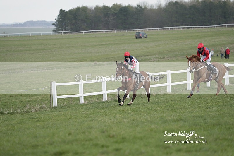 PtP 260323 0575 - New Forest Hounds Point-to-Point Larkhill 26/03/23