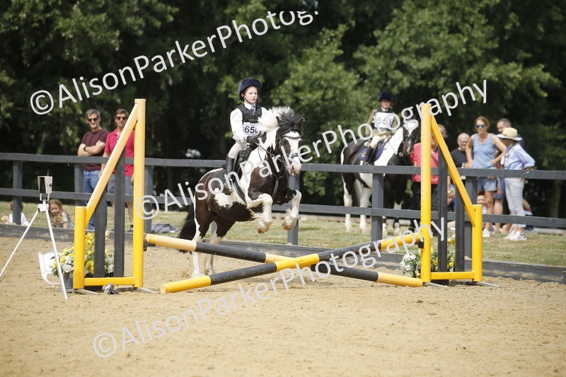 20250622-4625 - 50cm