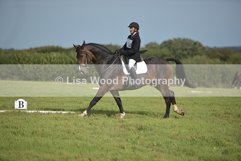 RAY_7956 - Class 2B: Trekenning Open: Dressage