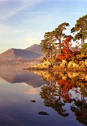 Friars Crag B8 vertical - Sceniks.com - Landscape photographs of the 'Lake District'