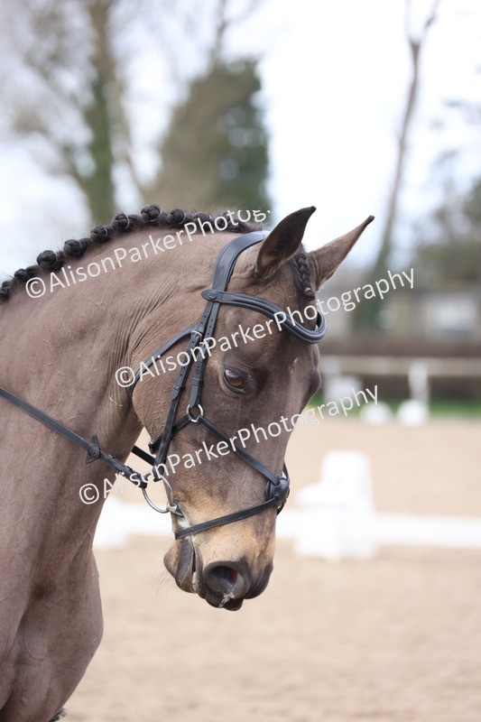 20260301-0789 - Class 4 - Novice 5