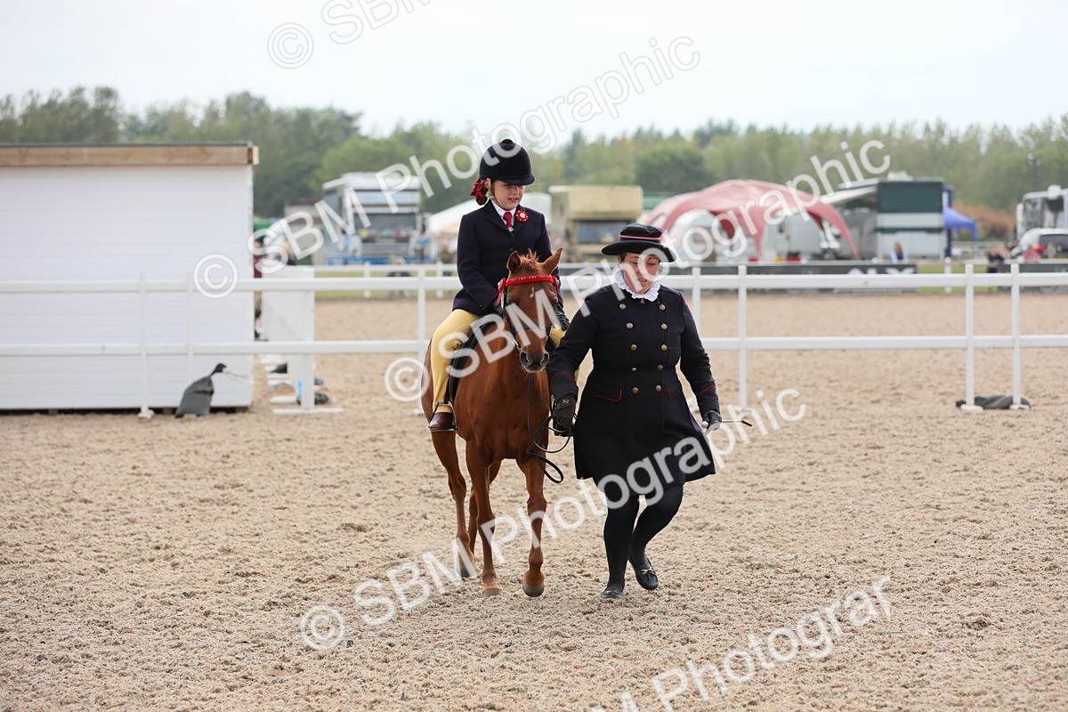 SBM_16895 - Class 314 Family Horse/Pony