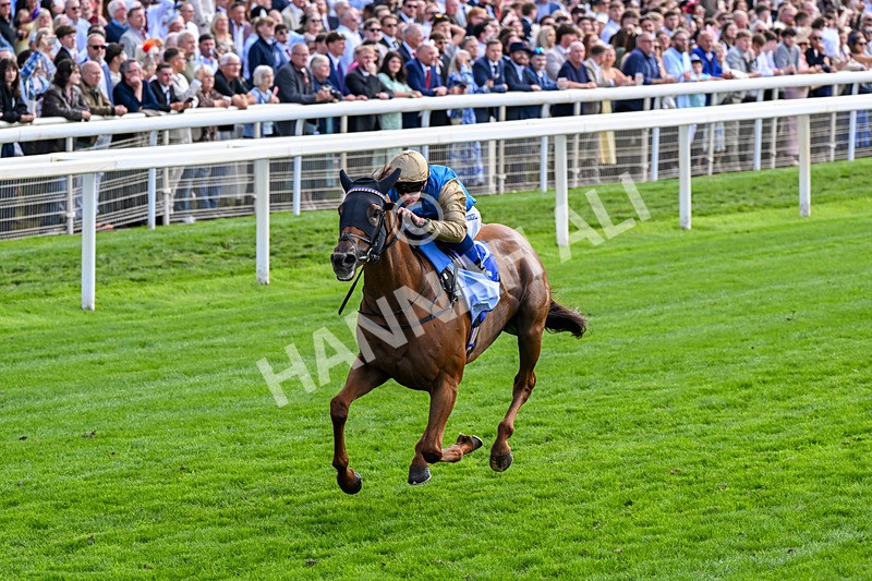 220826-Race 1-Archivist-0235 - Race 1 13.50pm Sky Bet Strensall Stakes
