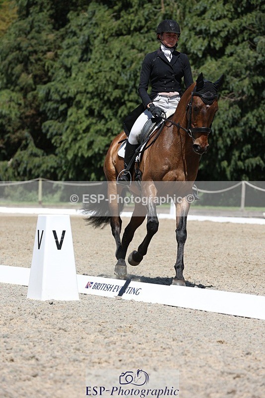 230526-142153-06509 - 373-BENGAL_LORE-Pippa_Taylor-WEDTrotUp+DR