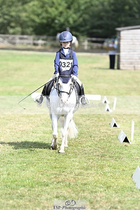 250821A-114808-15328 - DR 11.00 to 12.00