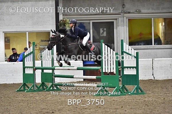 BPP_3750 - FRI CLASS 21 BR NOVICE/90CM