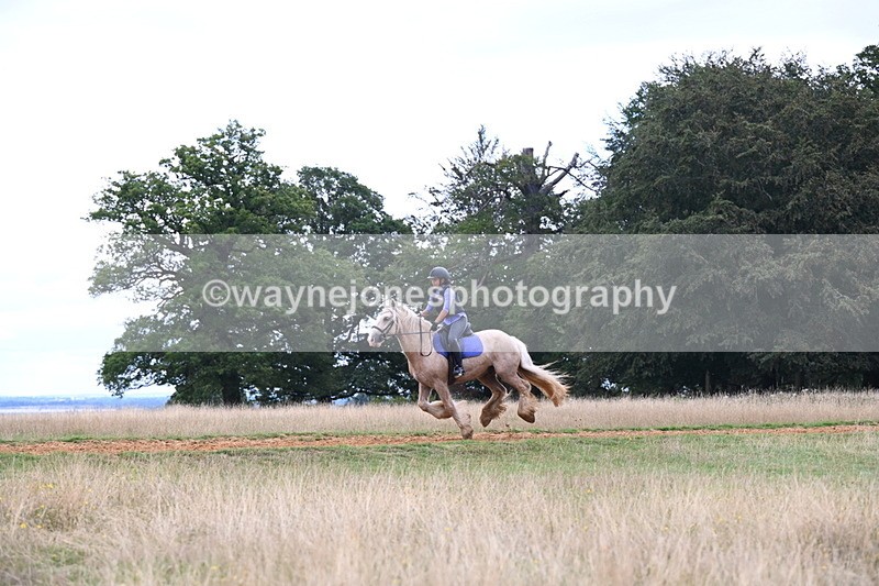 DSC_9497 - Time at Statue 15:11 to 15:58