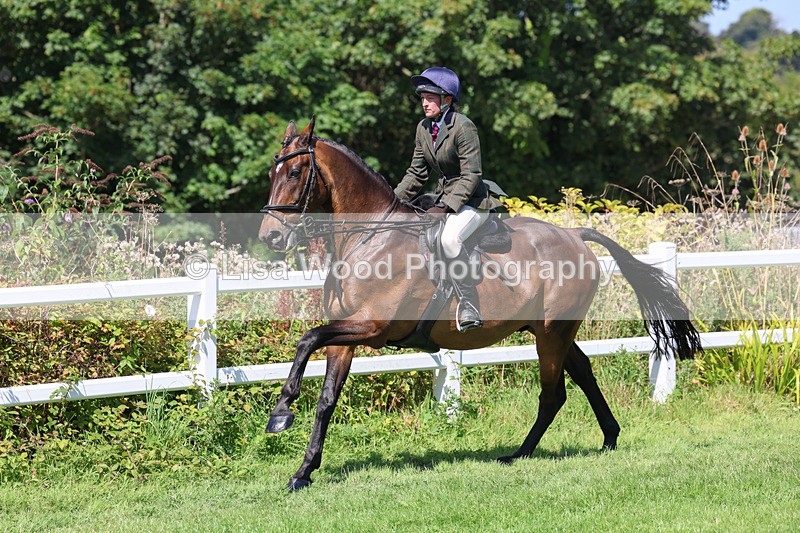 3E7A9017 - Class 6: Open Working Horse