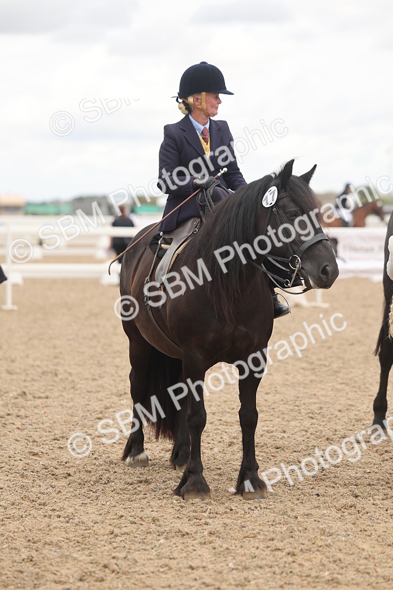 SBM_06386 - Class 22 - SSA - Equitation