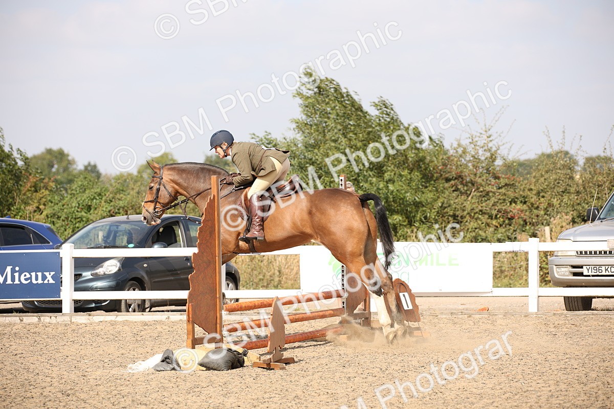 SBM_15024 - Class 408a - Working Veteran 70cm (15-19