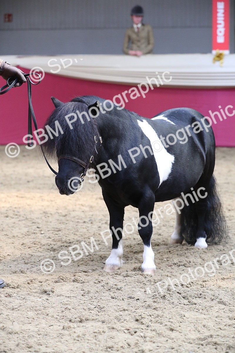 SBM_15335 - Class 501 M&M IH Supreme Final