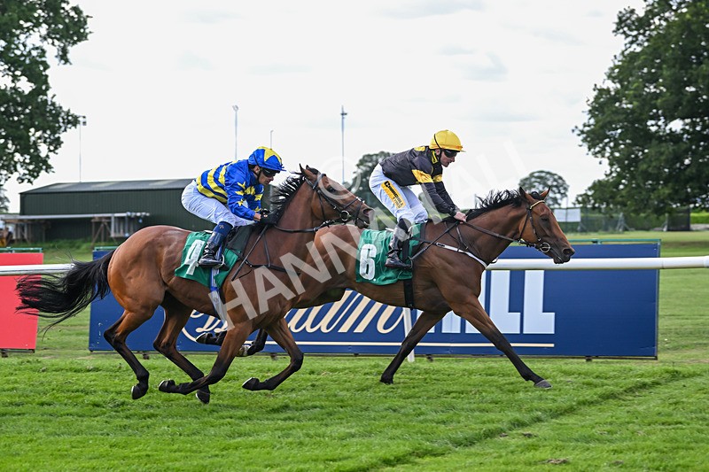 020825-Race 6-Big Leader-3497 - Race 6