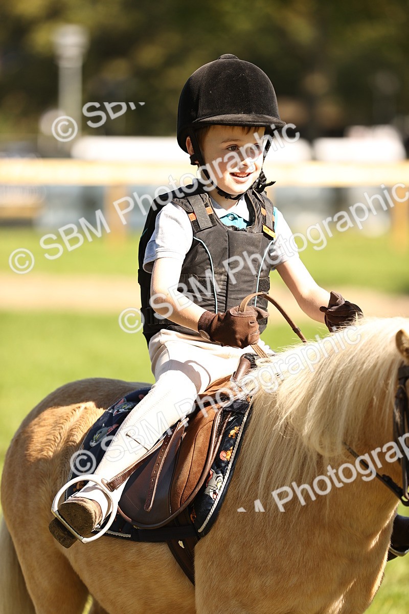SBM_19315 - S3 - TSR Ridden Pony Showing