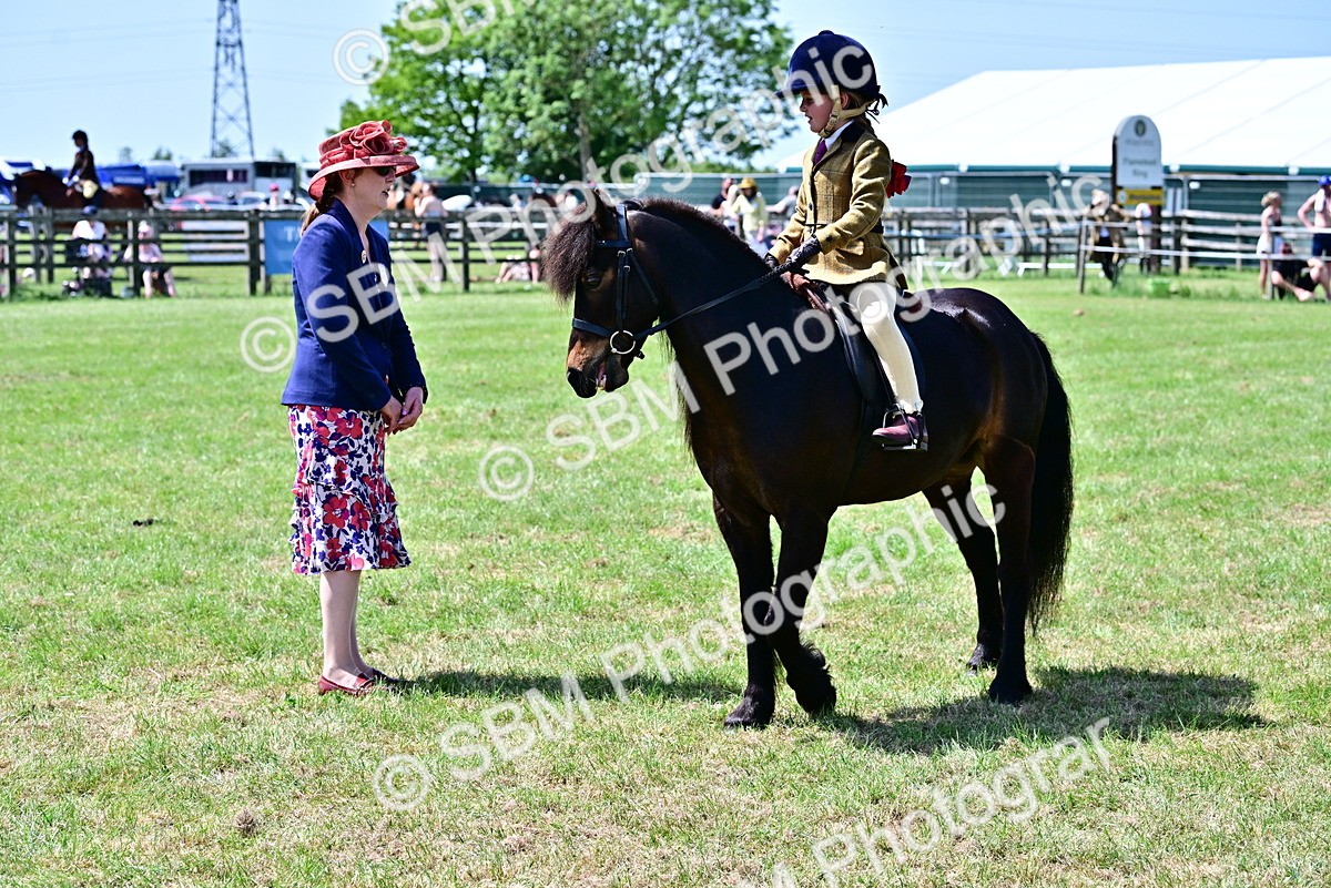 SBM_06096 - Class 59-60 - TSR M&M  Lear Rein and First Ridden Amateur of the year