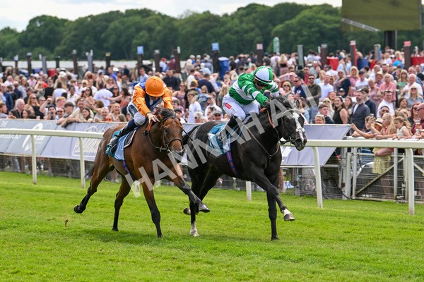 310525-Race 2-Tadej-8944 - Race 2 2.05pm Irish Thoroughbred Marketing EBF Restricted Novice Stakes