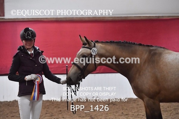 BPP_1426 - MORNING 9AM - 12PM