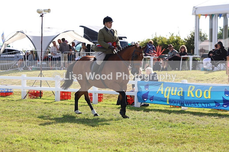 3E7A4003 - Supreme Championship