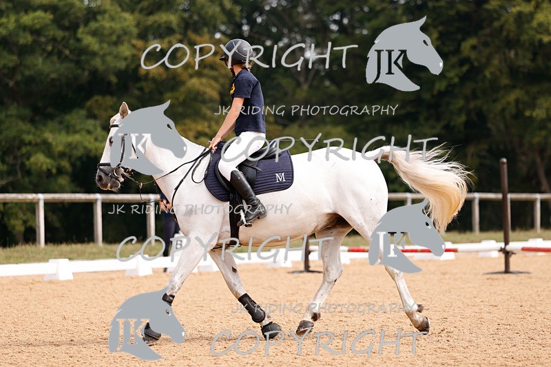 _R6A2431 - Dressage Morning