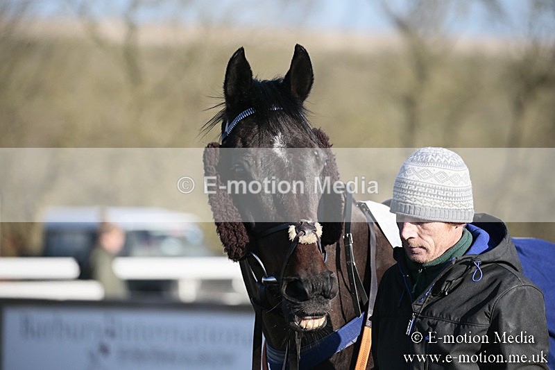 PtP 240218 637 - Vine & Craven Hunt Point-to-Point Barbury racecourse 24/02/18